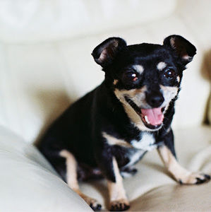 Meet your Posher, John